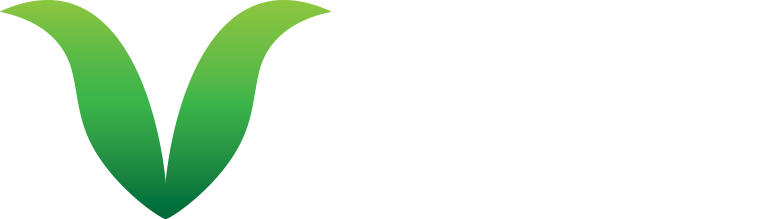 V-Grid Energy Systems-logo
